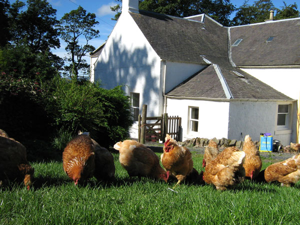 Over Langshaw Farm